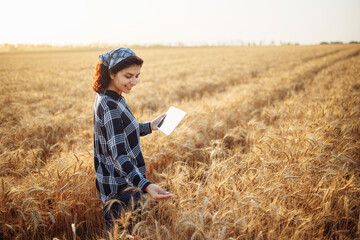 Naklejka na ściany i meble A young happy girl farmer with a tablet in her hands stands in the middle of a wheat field. A woman agronomist checks the harvest. Smart farmer concept. A bountiful harvest.
