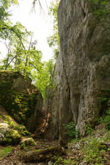 Falaises près de la grotte