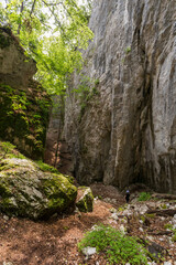 Fototapeta na wymiar Falaises près de la grotte