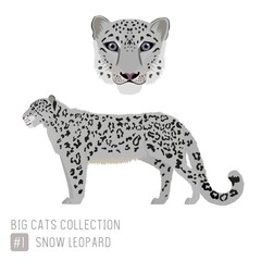 Snow Leopard and On Isolated Background