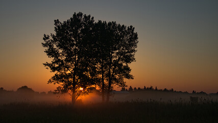 Fototapeta na wymiar Sunrise field and meadow fog in morning.Vapor and mist, the beauty of nature.
