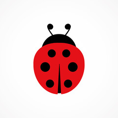 Ladybug cute character. Ladybird insect. Vector isolated on white