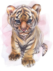 A cute baby tiger. Hand painted watercolor illustration.