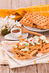 Waffles with colourful marshmallow.