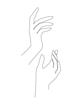 recommend clip art: Woman hands delicate rejuvenating, elegant female hands, realistic gestures, line art, vector illustration