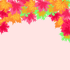 Autumn maple leaves background. Vector illustration