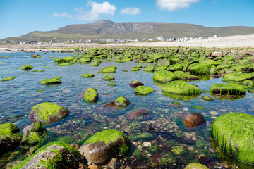 Seascape view on rough stone coast line with stones covered with green moss. Clear blue sky, Achill island, county Mayo, Ireland. Irish nature landscape. Nobody. White houses in the background