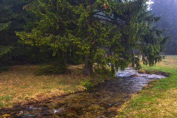 View of the Chochołowska Valley. A hazy spring day. © Tomasz Wozniak