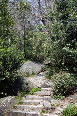 view of old stones in the Vorontsov Park of the Crimean Peninsula