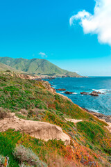 Fototapeta na wymiar Spectacular panoramic landscape of the west coast of California with views of the Pacific Ocean and the cliffs . Coast along the Pacific Coast Highway