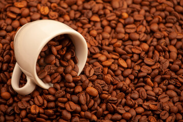 image of mug coffee seed