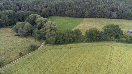 Drone Aerial Shot over Fields