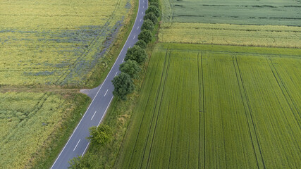 Drone Aerial Shot over Fields