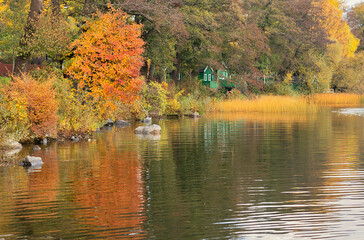 Green cottages at the lake in autumn. - 443238669