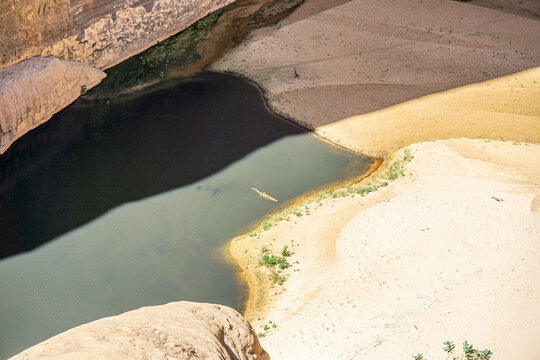 Nile Crocodile, Guelta d'Archei. Chad, Africa