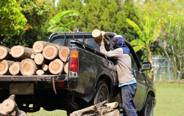 Closeup of timber on pickup car and lumberman with natural background. - obrazy, fototapety, plakaty