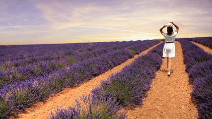Girl in lavender in south of France - 443241056