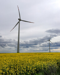 Windmill in the field. Gaj Olawski wind farm near Wroclaw, Poland, Europe.