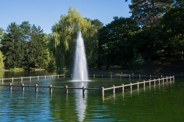 夏の緑の都市公園の噴水
