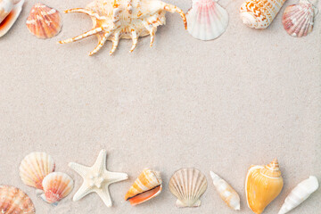 Tropical starfish and sea shells on sand, space for text