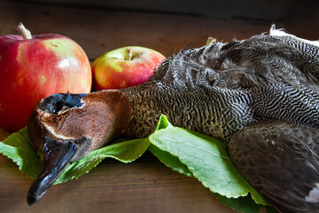 the duck is lying next to the apples on a wooden table