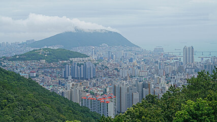 안개 낀 도시의 모습
