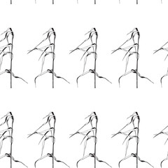 Seamless pattern. Vector illustration with wildflower. Doodle sketch.