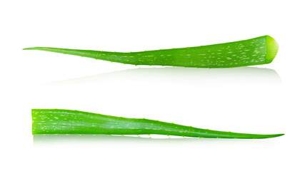 Fresh aloe vera leaves  isolated on white background.This has clipping path.  