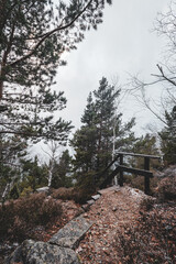 Einsame Treppe in einem schönen Winterwald