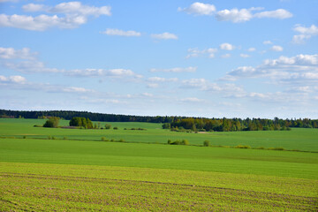 View of a green field in the countryside against a blue sky with clouds. Agriculture and farming concept.