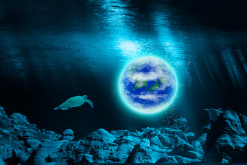 Planet und Schildkröte