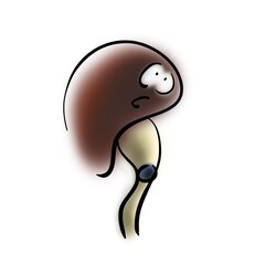 Kidney and stuck stone in the ureter