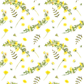 Watercolor floral seamless pattern of yellow dandelion flowers