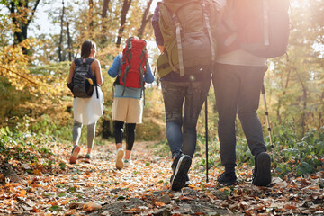 Fototapeta premium Hikers in the woods