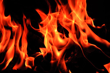 Fototapeta premium flames on a black background.