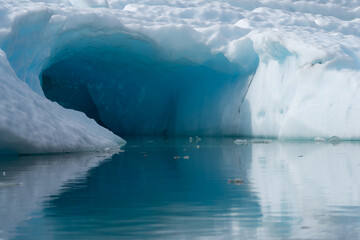 Fototapeta na wymiar Ice bergs in Le Conte Bay, South East Alaska