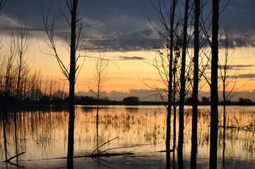 Atardecer