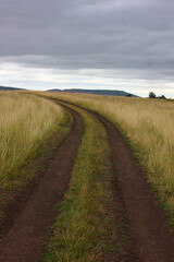 Fototapeta na wymiar a dirt road in a field that goes beyond the horizon