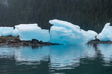 Ice berg detail in South East Alaska