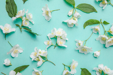 Pattern of bud jasmine and leaves scattered on a green background, overhead view. Flat lay