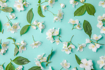 Pattern of bud jasmine and leaves scattered on a green background, overhead view. Flat lay