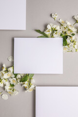 Mock up  with attached natural fresh jasmine  flowers on a gray background, copy space.