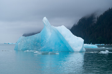 Ice berg detail in South East Alaska