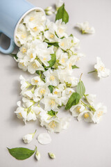 Fototapeta premium Floral composition on gray background with green leaves, flowers in cup flat lay