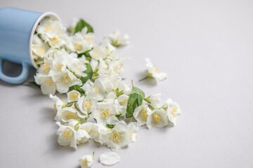 Floral composition on gray background with green leaves, flowers in  cup flat lay