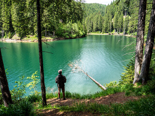 Man walking through the forest on the shore of the mountain lake. Walking in the woods on the edge...