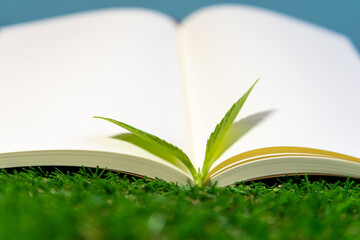 環境について学ぶ