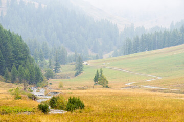 Paesaggio montano di un fiume che scorre e un sentiero che passa tra le colline nelle Alpi italiane...