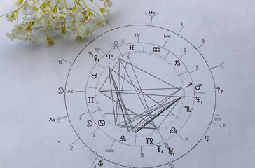 Printed astrology chart with small white flowers in the corner