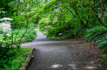 Obraz premium Seattle Garden Trail 7